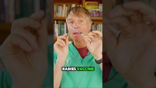 Pet Vaccine: Do pets really need it? 