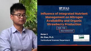 Influence of Integrated Nutrient Management on Available Nitrogen and Organic Strawberry Production