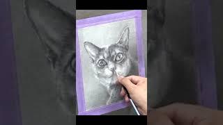 고양이 그림 | 연필소묘 | Drawing a cat