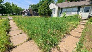 NEGLECTED Lawn Gets Makeover Without Permission Then Neighbor Stopped By