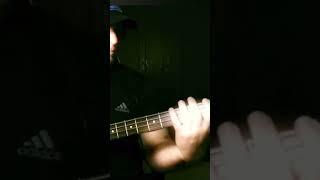 Rob Zombie-Pussy Liquor bass cover