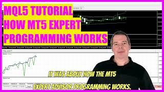 MQL5 TUTORIAL - HOW MT5 EXPERT ADVISOR PROGRAMMING WORKS