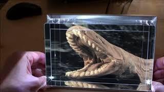 Looking Glass Holographic Display: Convert 2D photos into 3D Holograms