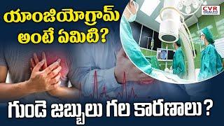 యాంజియోగ్రామ్ అంటే ఏమిటి ? గుండె జబ్బులు  గల కారణాలు? | What is an angiogram?Causes of Heart Disease