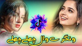 Zulfan Tedian Ludan Khawan Walay | Tahir Farooq song (singer Parveiz Khan) | new saraiki song 2024