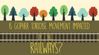 The Impact of Railways on Gopher Tortoises