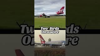 Two Birds On A Wire A380 And 747