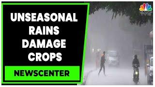 Unseasonal Rains Damage Crops, Production To See Sharp Decline | Weather Update | News Centre