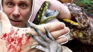 GETTING ATTACKED BY ALL MY ANIMALS TODAY!! WHY?? | BRIAN BARCZYK