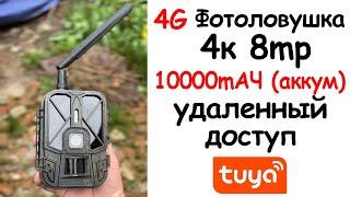 4G Фотоловушка КАМЕРА-НЕВИДИМКА 8mp 4K АВТОНОМНАЯ С УДАЛЕННЫМ ОТСЛЕЖИВАНИЕМ