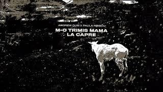 Andrew Dum x Paula Hriscu - M-o trimis mama la capre | Official