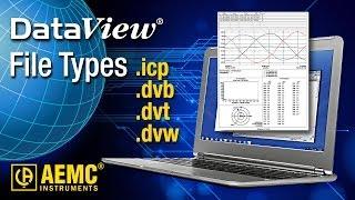 AEMC® - DataView® File Types