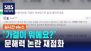 "'가결' 뜻이 뭔가요?" 검색량 폭증…문해력 논란 재점화 / SBS / 실시간 e뉴스