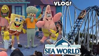 Sea World Gold Coast Visit & Update! | December 2024 | Theme Park Video