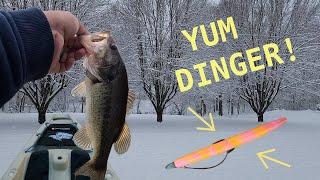 Winter Kayak Lake Fishing...I Caught a MONSTER!