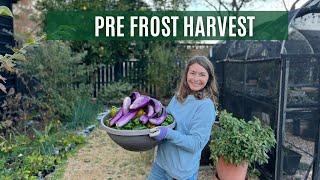 Pre frost harvest