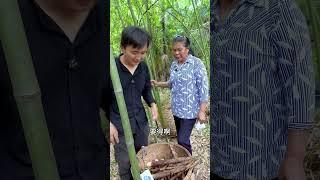 山里斑竹笋遍地都是，丈母娘掰两背摆摊，遇到个大主顾直接买完 #秒杀 #竹笋
