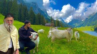 How do people live in remote Swiss villages? far from civilization in the Alps!! full movie