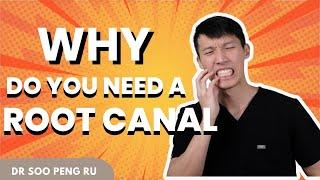 Why Do You Need a Root Canal? Dr. Soo Explains