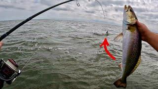 Wade Fishing with Live Perch! Speckled Trout CRUSHED em!