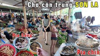 Kinh Hoàng Chợ Côn Trùng SƠN LA Với Cách Ăn Pịa Dê Và Côn Trùng Chết Người Của Người Dân Tộc Thái..!