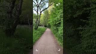 덴마크숲에서 1분동안 휘게하기! Hygge with me in the Danish forest for a minute!