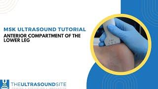 Musculoskeletal ultrasound of the anterior compartment of the lower leg