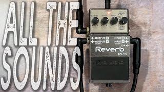 BOSS RV-6 // Reverb | ALL THE SOUNDS [NO TALK / ONLY TONES]