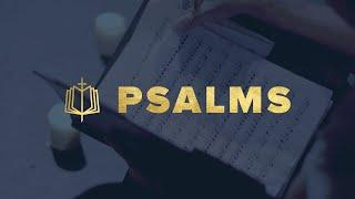 Psalms: The Bible Explained