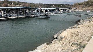 Algae sample taken from Belton Lake where dog died after playing in water