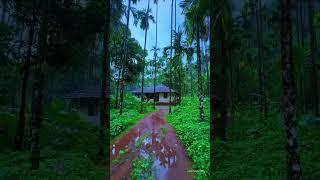 Houses in Kerala villages #villagelife #house #vintage