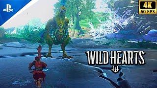 Wild Hearts | Hunting Emberplume Recondite | Playstation 5 | 4K 60 FPS