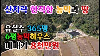 [홍성군 장곡면]산기슭 청정지역 독립적 365평토지와 농막/하우스 건축가능 8천만원 홍성부동산 예산부동산 귀농귀촌 싼땅 전문 부동산필 충남내포부동산