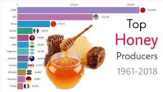 World's Largest Honey Producing Countries 1961-2018 | China | USA | India