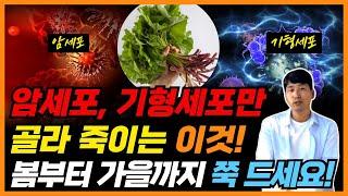 암세포 기형세포만 골라 죽이는 이것! 봄부터 가을까지 쭉 드세요!