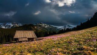 Beautiful Nature | Relaxing Music, Amazing Scenery & Relaxing Music for Stress Relief, Sleep