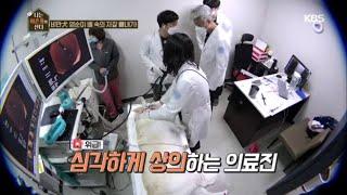 비만犬 영순이 배 속의 자갈 빼내기! [나는 아픈개와 산다] 20200625