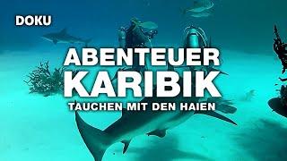 Abenteuer Karibik – Tauchen mit den Haien (Tolle unter Wasser DOKUMENTATION auf Deutsch | Doku ganz)