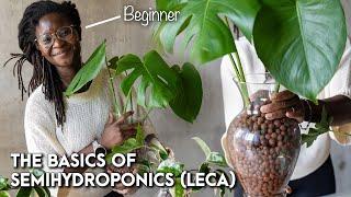 The basics of semi-hydroponics (LECA) from a beginner // #Plantwithme