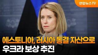 에스토니아, 러시아 동결 자산으로 우크라 보상 추진 / 연합뉴스TV (YonhapnewsTV)