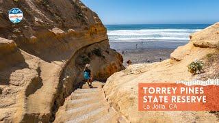 A Complete Guide to Visit Torrey Pines State Reserve | La Jolla, CA