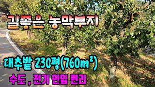 청도토지(345) 길좋은 농막부지 선비부동산055-354-8757 계획관리 수도 전기 인입편리 마을인근 남향#청도부동산매물#청도부동산#청도촌집#청도농막