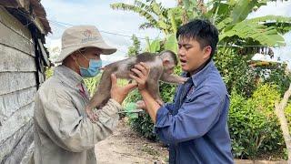 Touching Tears When Dad Brings SinSin Back After Many Days of Searching