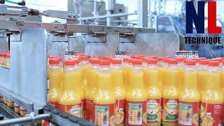 Modern Food Processing Technology with Cool Automatic Machines That Are At Another Level Part 18