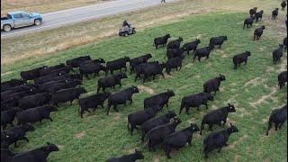 P320 ALL, on a large, high-tech ranch in the Northern United States.