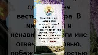 Отче Небесный, сделай меня вестником мира. В мире гнева и ненависти помоги мне отвечать любовью…