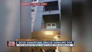 Good Samaritans rescue dangling dog