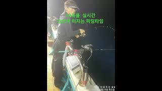 진해더블피싱 9.77톤 먼바다 루어전용선 한치 낚시 예약 010-6668-1782 #진해더블피싱 #한치이카메탈 #한치오모리 #갈치지깅 #갈치텐야 #갈치텐빈 #참돔타이라바 #무늬팁런