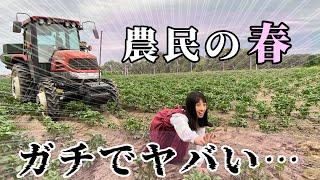 全然スローライフじゃなかった春の農作業まとめ