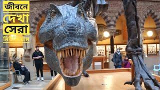 The Oxford University Museum of Natural History | Walkthrough Tour March 2022